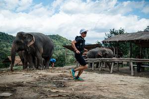 BIB: 
                            <button type="button" onclick="openModal(22423952)" class="btn btn-primary btn-sm float-right btn-popup" data-toggle="modal" data-target=".modal-high-quality">
                        <i class="fas fa-shopping-cart"></i> Add to Cart
                    </button>
                                            <button type="button" onclick="isThisMe(22423952, true)" class="btn btn-success btn-sm float-right btn-popup btn-isme hidden" data-toggle="tooltip" data-placement="bottom" title="นี่คือรูปของคุณใช่ไหม คลิกที่นี่เพื่อเอาเข้าอัลบั้ม">
                        <i class="fas fa-plus"></i> Add to album
                    </button>
                    <button type="button" onclick="isThisMe(22423952, false)" class="btn btn-warning btn-sm float-right btn-popup btn-isnotme hidden">
                        <i class="fas fa-ban"></i> Remove from album
                    </button>